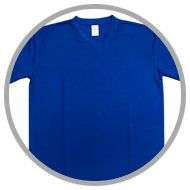 ropa