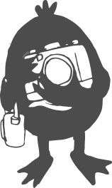 Servicios fotográficos Fotografía